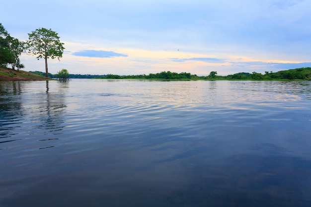 Panorama vom Amazonas-Regenwald Brasilianische Feuchtgebietsregion Navigierbare Lagune Südamerika Wahrzeichen Amazonien