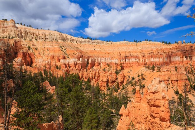 Panorama vom Bryce Canyon National Park, USA.