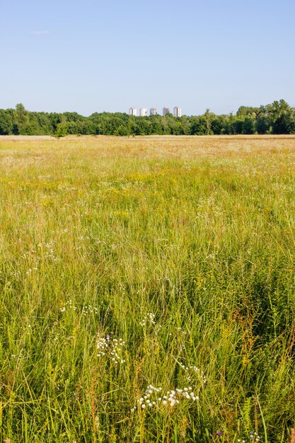 Foto panorama von kiew