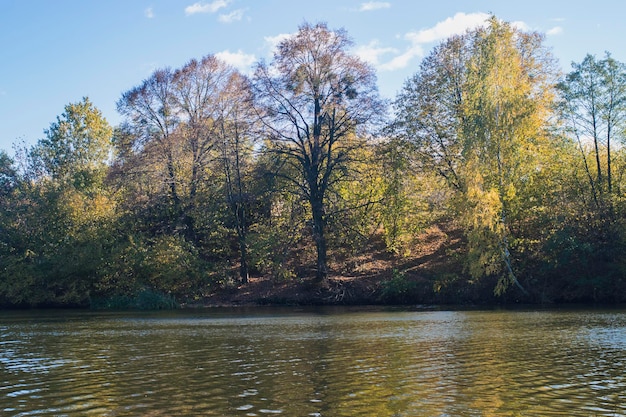 Panorama von Zhytomyr, einem gelben Herbstwald mit einem Fluss