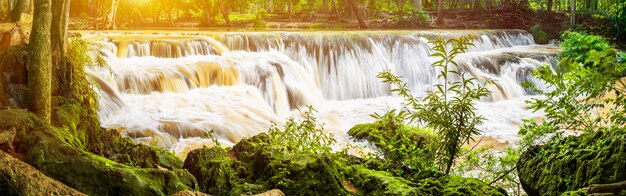 Panorama-Wasserfall auf Berg im tropischen Wald am Nationalpark