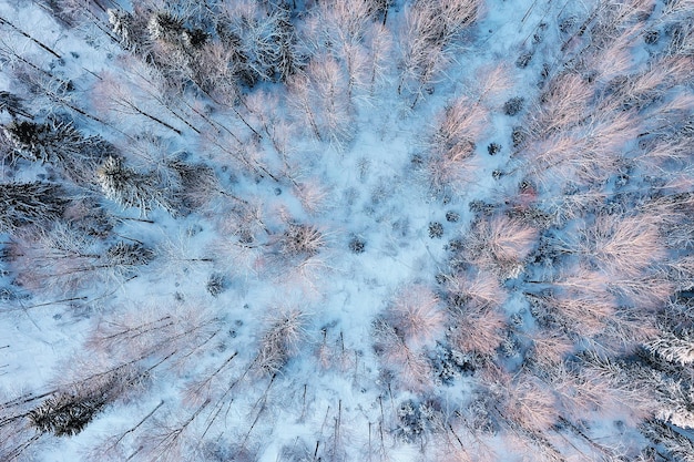 Panorama Winterwaldlandschaft Schnee, abstrakte saisonale Ansicht der Taiga, schneebedeckte Bäume