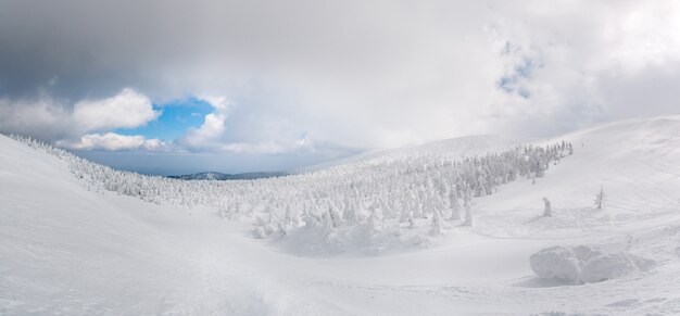 Panoramaansicht des Schneemonsters auf Mt.Zao