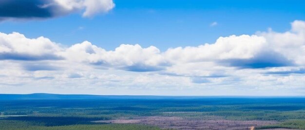 Foto panoramabild der illegalen abholzung des amazonas