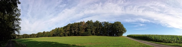 Foto panoramabild von bäumen auf dem land gegen den himmel