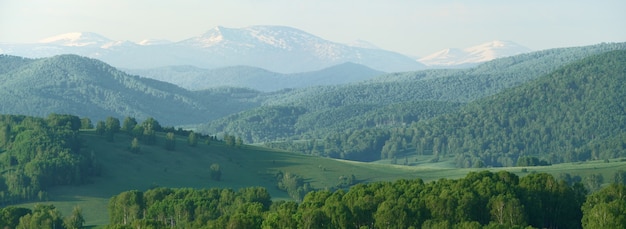 Panoramablick auf Berge an einem Frühlingstag, grüne Wälder und Schnee auf den Gipfeln