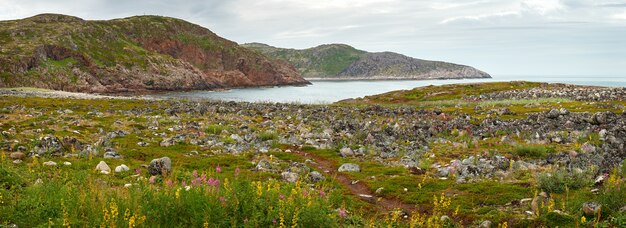 Panoramablick auf das felsige Ufer der Barentssee. Kola-Halbinsel, Arktis