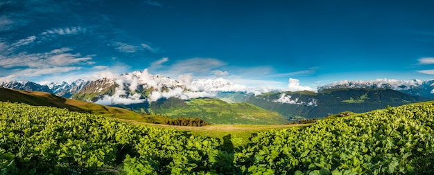 Panoramablick auf das grüne Tal auf den Bergen im Hintergrund überwältigende Landschaft der georgischen Naturstraße