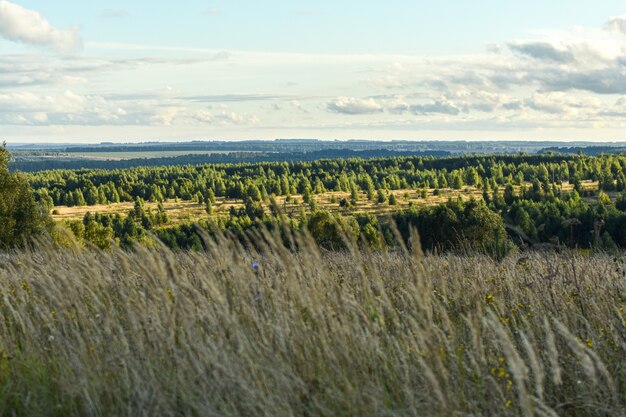 Panoramablick auf das schöne Feld