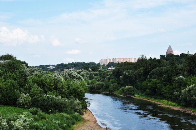 Panoramablick auf den Fluss, Bäume und Wohngebäude. Ufer des Flusses Peschaniy. Sommertag.