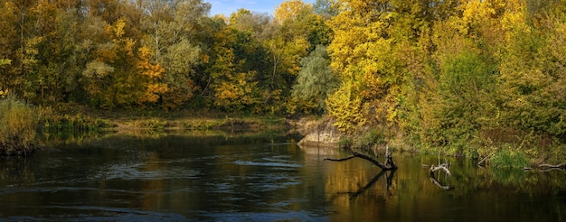 Panoramablick auf den Fluss. Herbstwald am Ufer