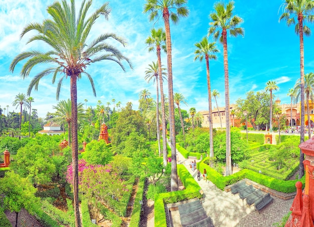 Panoramablick auf den großen und schönen Garten - Gärten des königlichen Alcazar in Sevilla. Spanien.