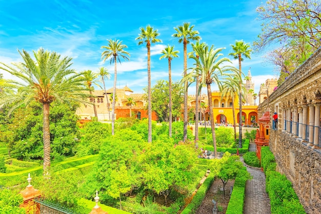 Panoramablick auf den großen und schönen Garten - Gärten des königlichen Alcazar in Sevilla. Spanien.