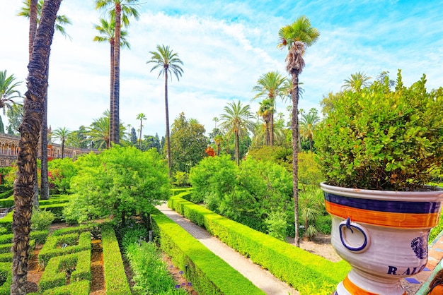 Panoramablick auf den großen und schönen Garten - Gärten des Royal Alcazar in Sevilla. Spanien.