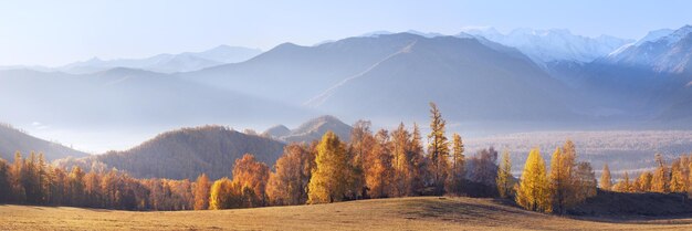 Panoramablick auf den Herbst, Morgendunst und Nebel
