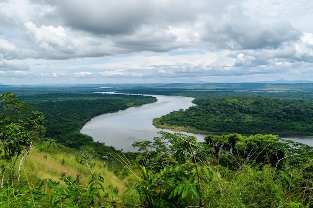 Foto panoramablick auf den tibagi-fluss und die vegetation tibagi parana brasilien 2017