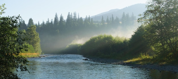 Panoramablick auf den Waldwiesenfluss im Morgennebel, wunderschön in der Natur