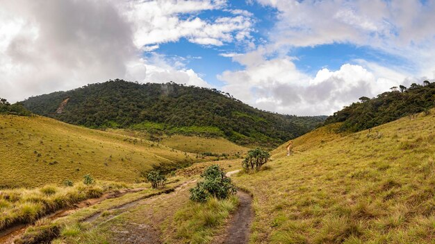 Panoramablick auf die Horton Plains in Sri Lanka