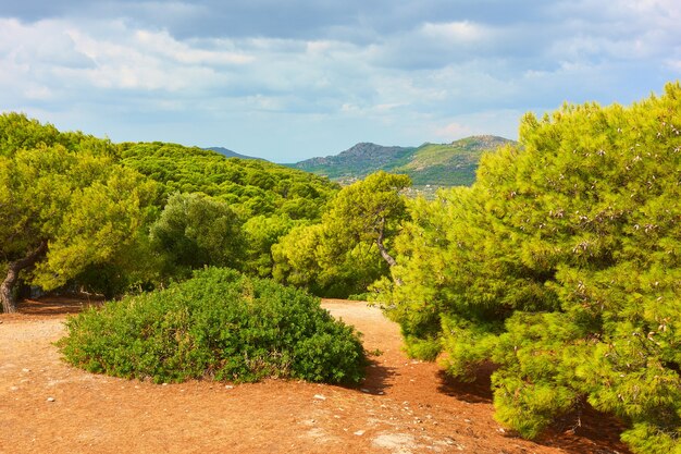 Panoramablick auf die Insel Ägina mit Nadelwäldern, Agia Marina, Saronische Inseln, Griechenland - Landschaft