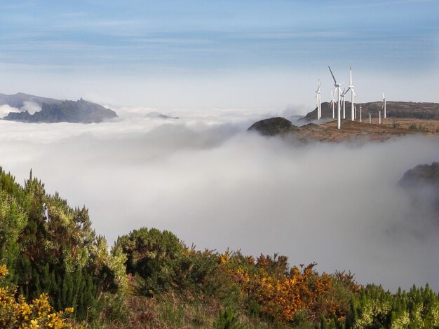 Foto panoramablick auf die landschaft gegen den himmel