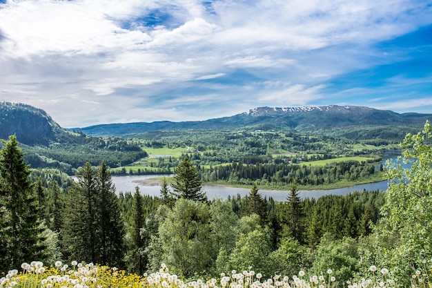 Panoramablick auf die Landschaft gegen den Himmel