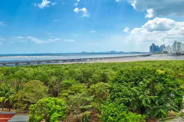 Panoramablick auf die moderne Skyline von Panama City