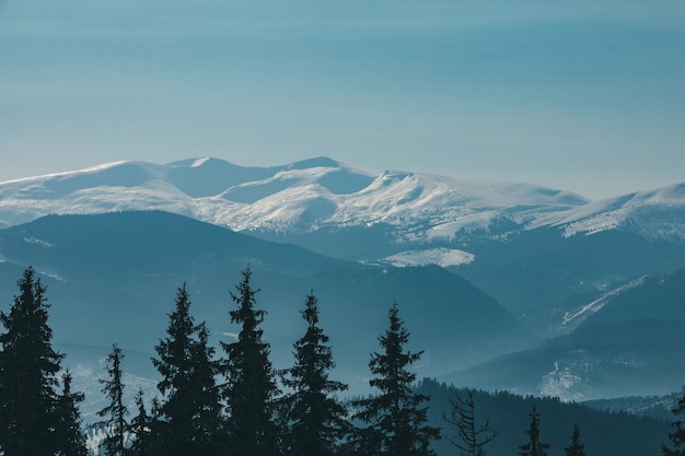 Panoramablick auf die Schönheit der Winterschneeberge in der Natur. Platz kopieren
