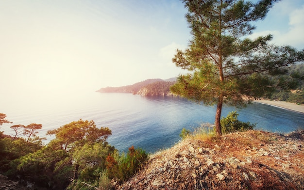 Panoramablick auf die Seeküste. Schönheitswelt. Truthahn