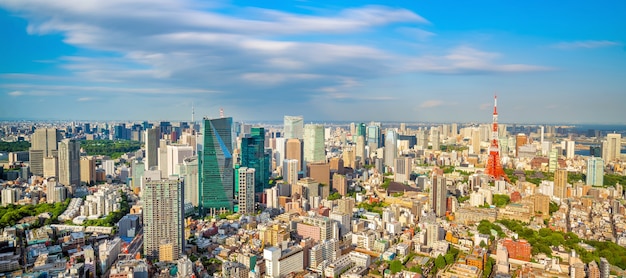 Panoramablick auf die Skyline der Stadt Tokio und das Gebäude des Tokyo Tower in Japan bei Sonnenuntergang