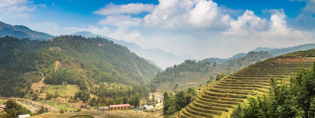 Panoramablick auf die terrassierten Reisfelder in Sapa, Lao Cai, Vietnam