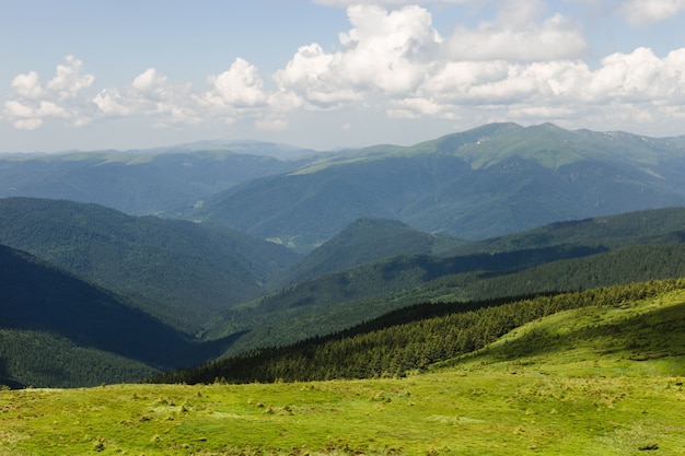 Panoramablick auf die wunderschöne Landschaft der Karpaten. Tourismus- oder Freiheitskonzept. Wilde Natur, Sommerlandschaft. Entdecken Sie die Schönheit der Erde.