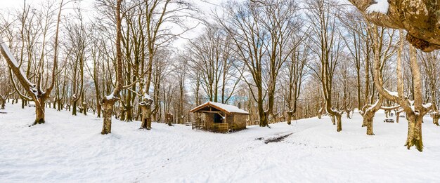 Panoramablick auf die Zuflucht neben den Bäumen des schneebedeckten Naturparks Oianleku in der Stadt Oiartzun, im Winter neben Penas de Aya, Gipuzkoa. Baskenland