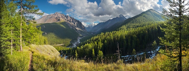 Panoramablick auf ein Bergtal an einem Sommertag