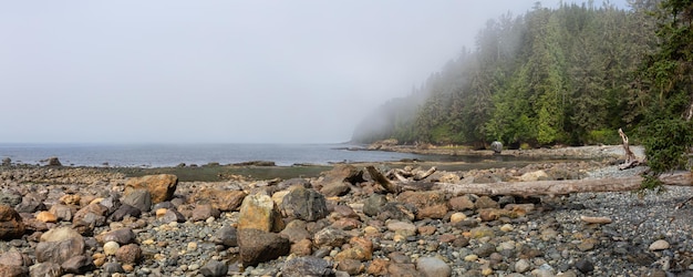 Panoramablick auf einen felsigen Strand auf dem Juan de Fuca Trail