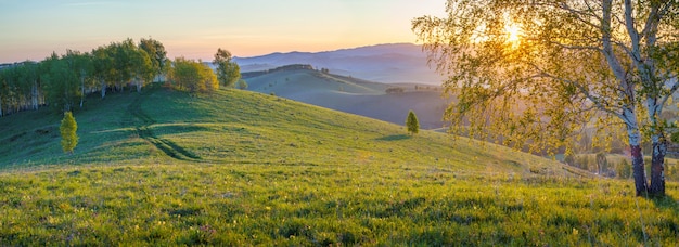 Panoramablick auf einen Frühlingsmorgen