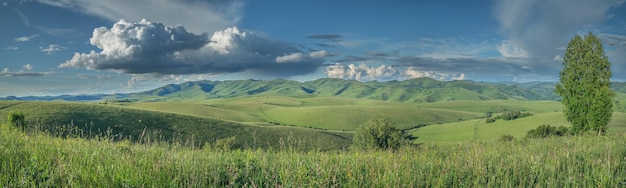 Panoramablick auf einen Sommertag in den Bergen, grüne Wiesen, Berghänge und Hügel