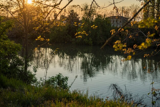 Panoramablick auf einen Teich bei Sonnenuntergang im Frühjahr