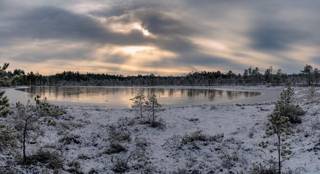 Panoramablick auf einen zugefrorenen Waldteich in einem sumpfigen Gebiet Natur Hintergrund blauer Himmel