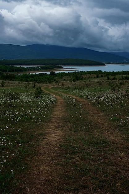 Panoramablick auf grüne Felder und Bäume und kleine Schotterstraße