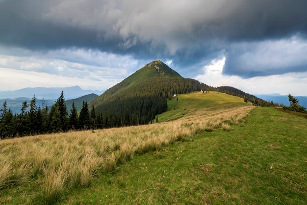 Panoramablick auf grünes grasbewachsenes Tal, Kiefern und ländliche kleine Bauernhütten am Fuße des fernen bewaldeten Berges unter dunkelblauem bewölktem Himmel vor Gewitter. Schönheit der Natur, Tourismus, Reisen.