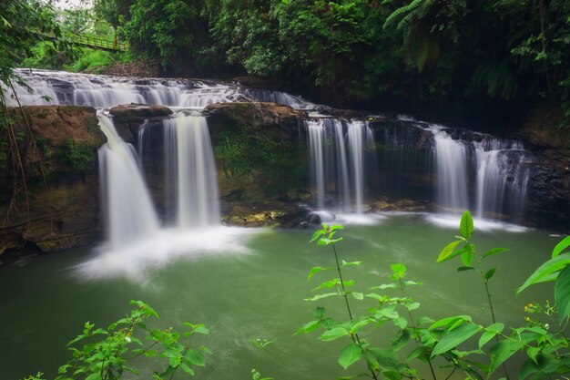 Panoramablick auf Indonesien mit Morgensonne und Wasserfall im tropischen Wald