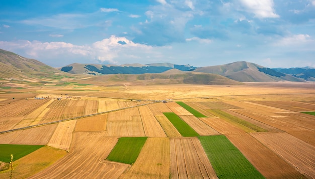 Panoramablick auf Landwirtschaft und landwirtschaftliche Felder