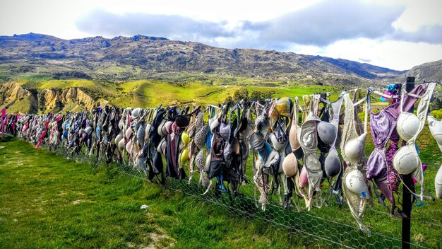 Foto panoramablick auf menschen auf dem feld gegen den himmel