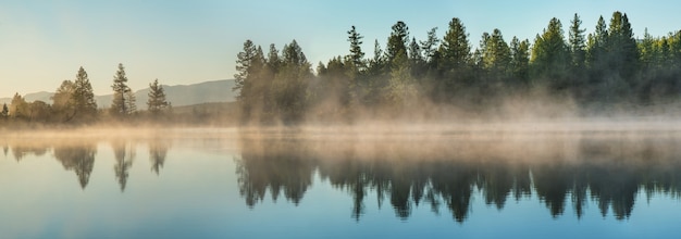 Panoramablick auf Waldsee im Morgennebel