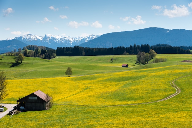 Panoramablick der schönen Landschaft in den Alpen