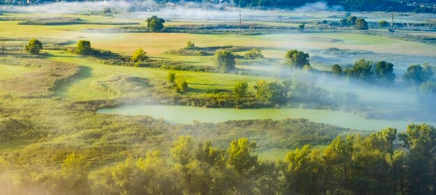 Panoramablick des Morgennebels auf grünem Feld