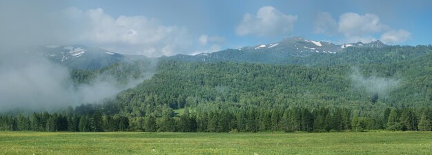 Panoramablick Morgennebel Sommergrün