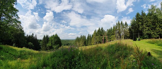 Foto panoramablick von gaizinkalns berzaune lettland