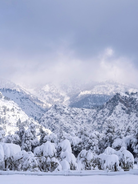 Panoramablick Winter mit viel Schnee und Schneeverwehungen in einem griechischen Dorf auf der Insel Evia Griechenland