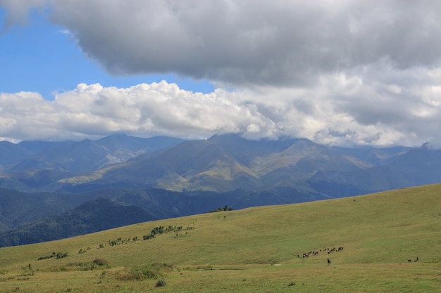 Panoramasicht auf Berge und Talszenen im Nationalpark Dombay, Kaukasus, Russland, Europa. Dramatischer blauer Himmel und sonnige Sommerlandschaft